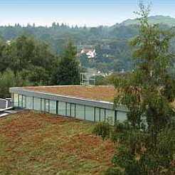 Green Roof